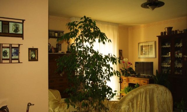 6 stvari koje ne treba poklanjati: Veruje se da ovo ni u ludilu ne treba iznositi iz kuće 6 stvari koje ne treba poklanjati: Veruje se da ovo ni u ludilu ne treba iznositi iz kuće - featured image