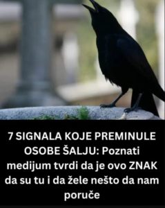 SIGNALI KOJE PREMINULE OSOBE ŠALJU: Poznati medij tvrdi da je to ZNAK da su tu i da nam žele nešto poručiti SIGNALI KOJE PREMINULE OSOBE ŠALJU: Poznati medij tvrdi da je to ZNAK da su tu i da nam žele nešto poručiti - featured image