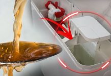 Jednostavan trik s omekšivačem koji je pretvorio vodokotlić u dugotrajni izvor mirisa Jednostavan trik s omekšivačem koji je pretvorio vodokotlić u dugotrajni izvor mirisa - featured image
