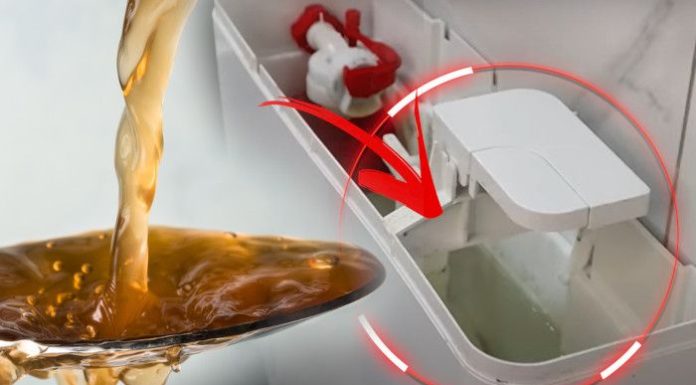 Jednostavan trik s omekšivačem koji je pretvorio vodokotlić u dugotrajni izvor mirisa Jednostavan trik s omekšivačem koji je pretvorio vodokotlić u dugotrajni izvor mirisa - featured image