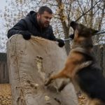 Samo sam htjela baciti svoj stari dušek, koji je već bio pocijepan na nekoliko mjesta, ali moj pas je zario zube u njega i nije mi dao da napravim ni jedan korak. U tom trenutku još uvijek nisam shvatala zašto se tako čudno ponaša, ali samo nekoliko minuta kasnije zažalila sam što sam uopće odlučila iznijeti taj dušek iz kuće. 😨😨 Samo sam htjela baciti svoj stari dušek, koji je već bio pocijepan na nekoliko mjesta, ali moj pas je zario zube u njega i nije mi dao da napravim ni jedan korak. U tom trenutku još uvijek nisam shvatala zašto se tako čudno ponaša, ali samo nekoliko minuta kasnije zažalila sam što sam uopće odlučila iznijeti taj dušek iz kuće. 😨😨 - featured image