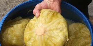 Doktori upozorili: Ne jedite kiseli kupus ako bolujete od ovih bolesti