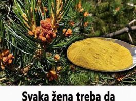 Svaka žena treba da pojede kašičicu svako jutro prije doručka: Reguliše hormone, liječi kosti, smiruje upale, jača imunitet, štiti srce…