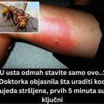 „U usta odmah stavite samo ovo…“: Doktorka objasnila šta uraditi kod ujeda stršljena, prvih 5 minuta su ključni