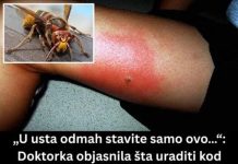 „U usta odmah stavite samo ovo…“: Doktorka objasnila šta uraditi kod ujeda stršljena, prvih 5 minuta su ključni